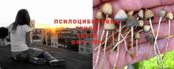эйфоретик Нязепетровск