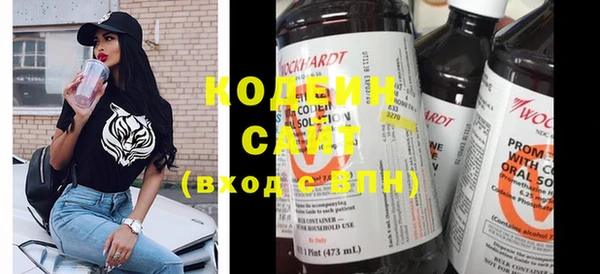 молекула духа Новозыбков
