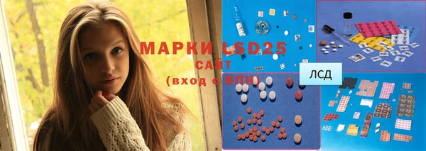 МДПВ Няндома
