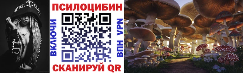 Галлюциногенные грибы ЛСД  закладки  ОМГ ОМГ вход  Сертолово 