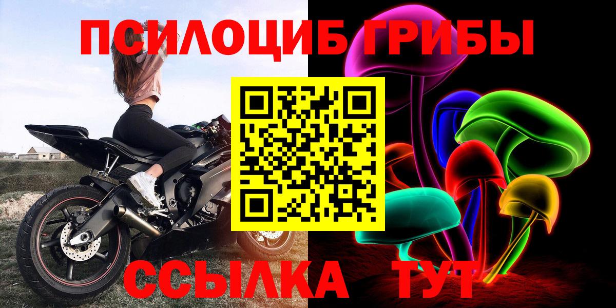 Галлюциногенные грибы прущие грибы Сертолово