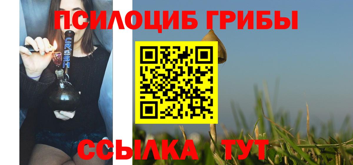 Псилоцибиновые грибы прущие грибы  Вход с VPN  Сертолово  Псилоцибиновые грибы Magic Shrooms 